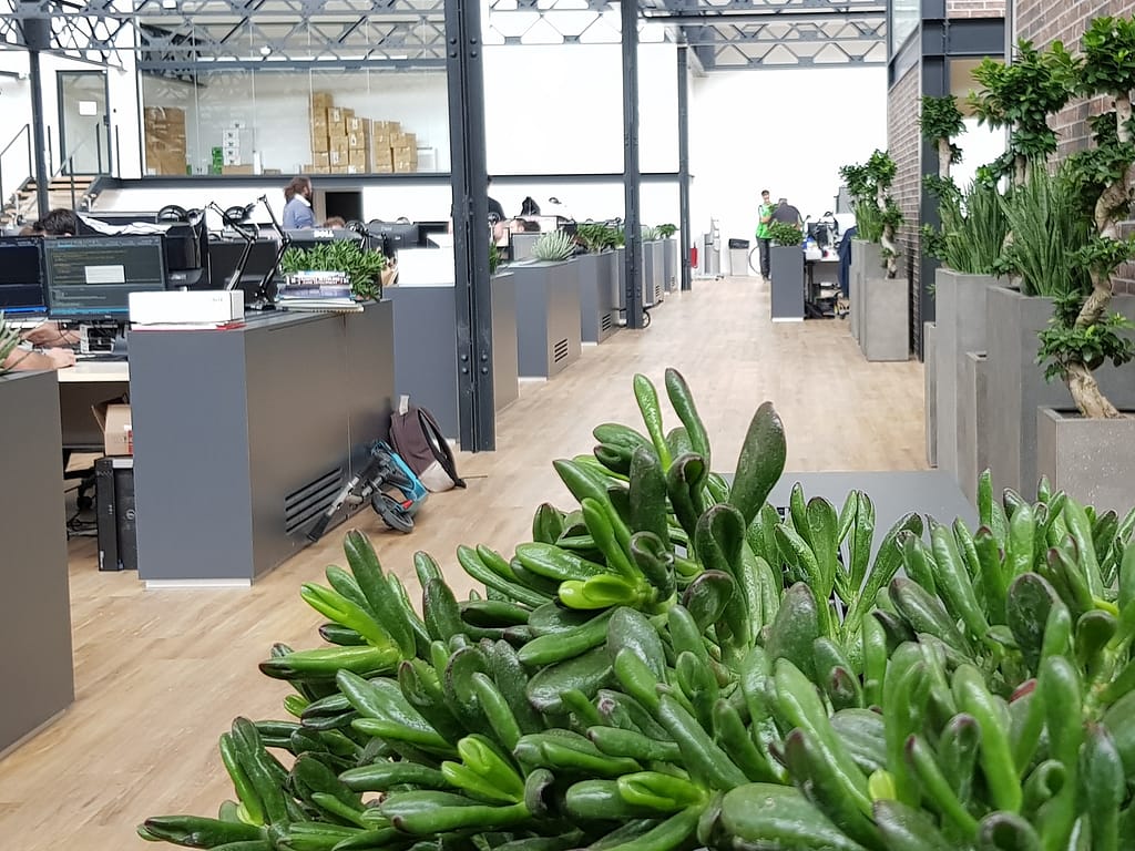 idée d'ajout de végétal dans des bureaux d'entreprise à Lyon