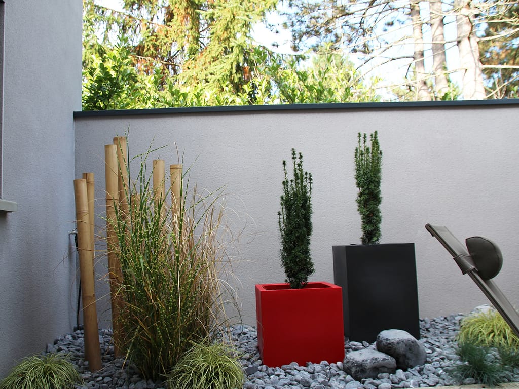 patio avec plantes végétales