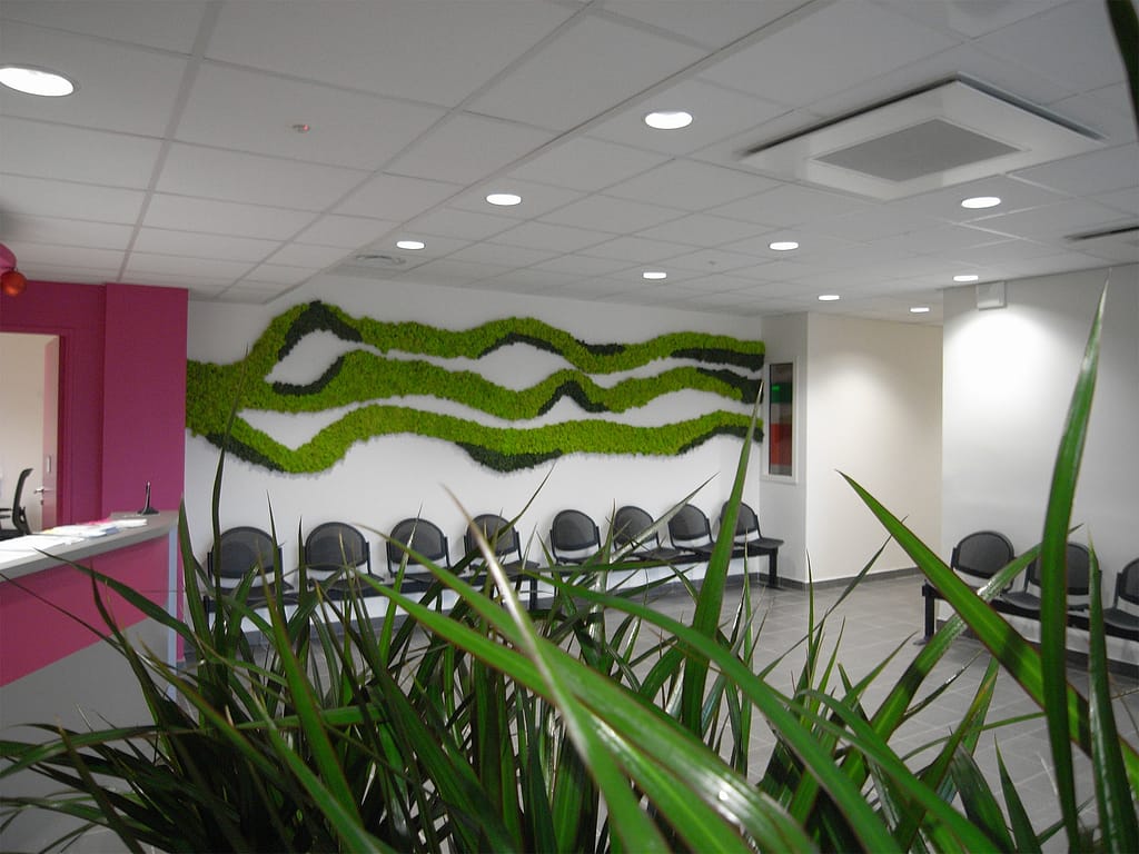 décoration d'un mur végétal pour égayer un espace d'accueil d'une entreprise