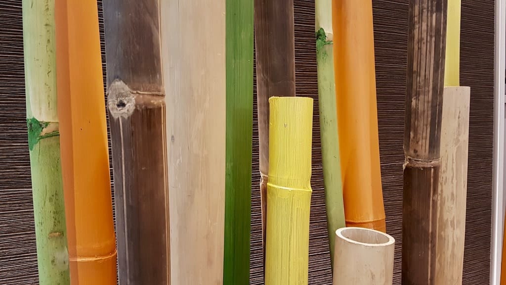 paysagiste décorateur intérieur à Lyon bambou coloré