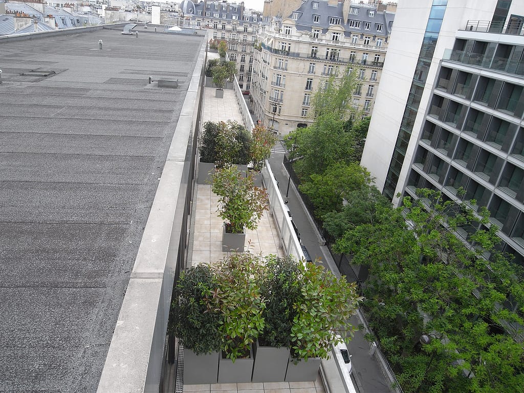 vue de végétaux qui cloisonne la terrasse d'une entreprise