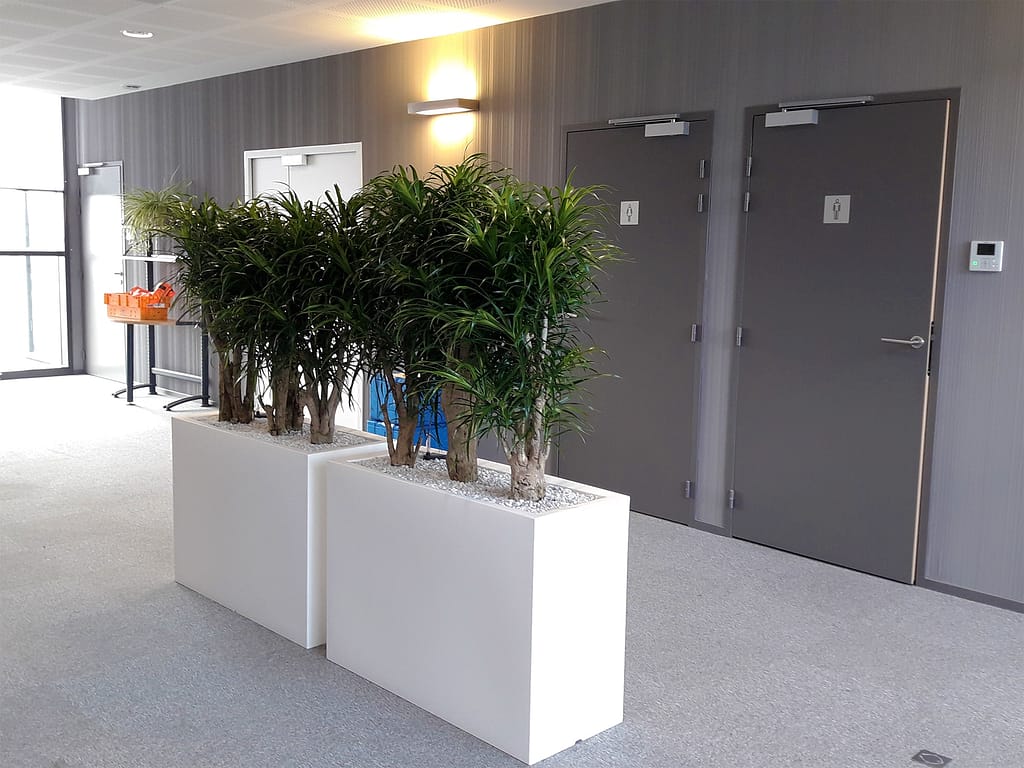 composition jardinière avec grandes plantes dans un hall d'entrée antéa group