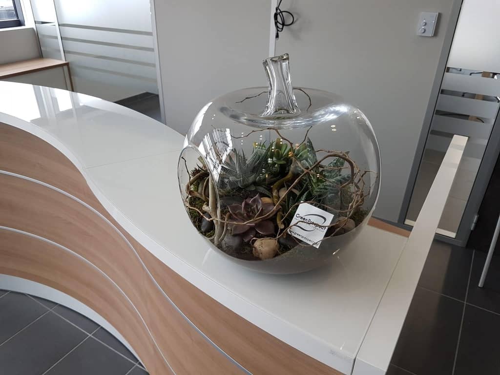 idée terrarium dans vase transparent design