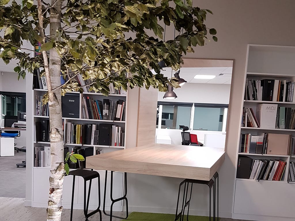 arbre avec feuillage stabilisé comme décoration intérieur d'entreprise