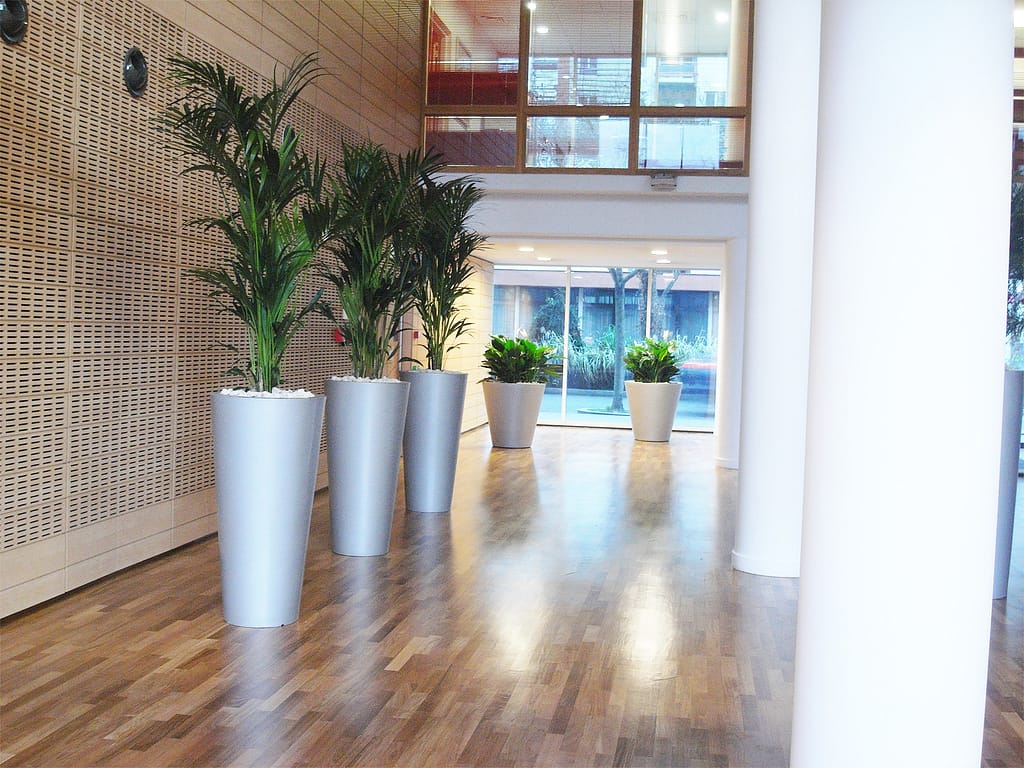 hall immeuble d'entreprise avec plantes vertes